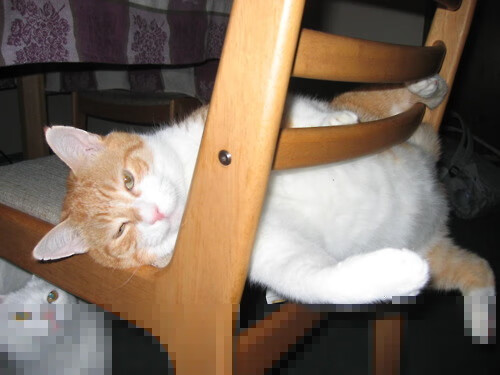 开云网址-《全球电竞大赛门票销售火爆，票价创新高》，全球电竞联赛线下总决赛